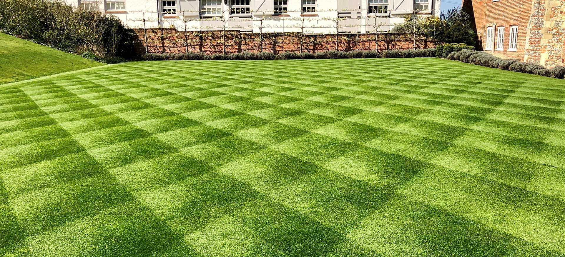 Your introduction to an accomplished lawn care company